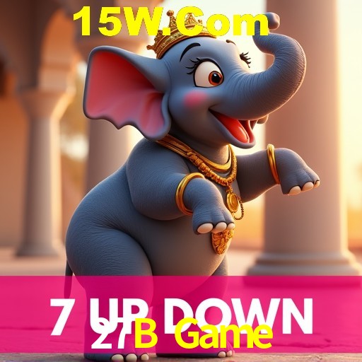 27B Game Rio de Janeiro - Bonus Terms